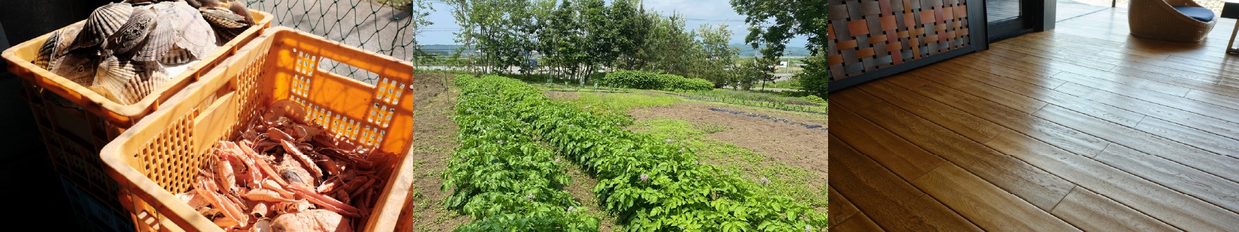 In Pursuit of Japan’s First Recycling-oriented,Eco-friendly Inn