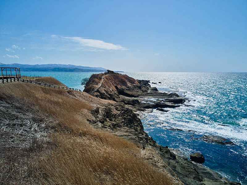 カモメ島
